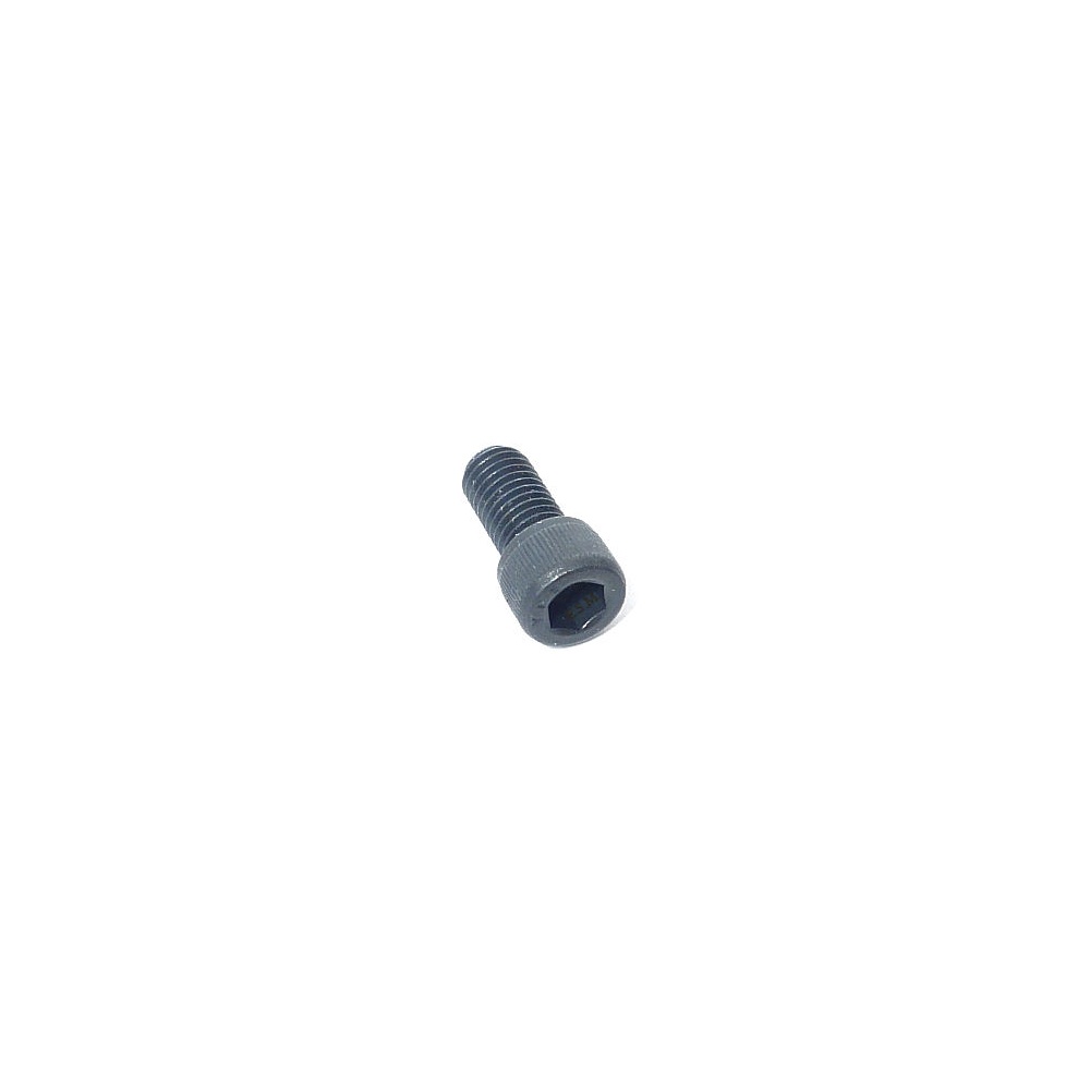 Screw-Brake Cylinder To Back Plate (Socket Head) – FBK118A
