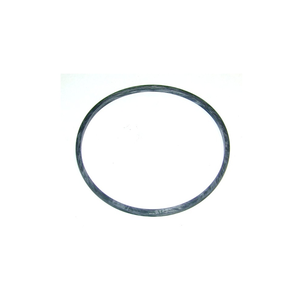 Oil Filter Sealing Ring (Tecalemit) – 10M259